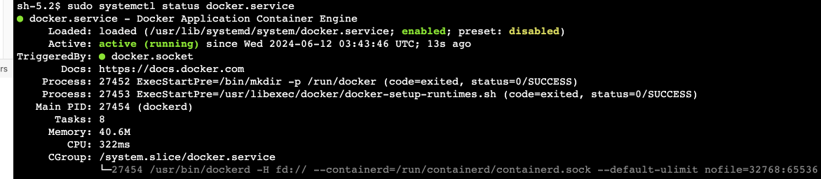 docker status